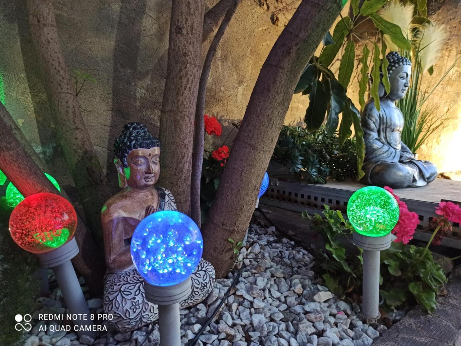 Los Jardines De Lola Daimés Exterior foto